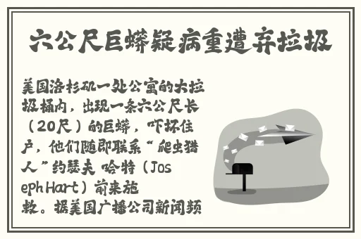 内衣柜1~3樱花